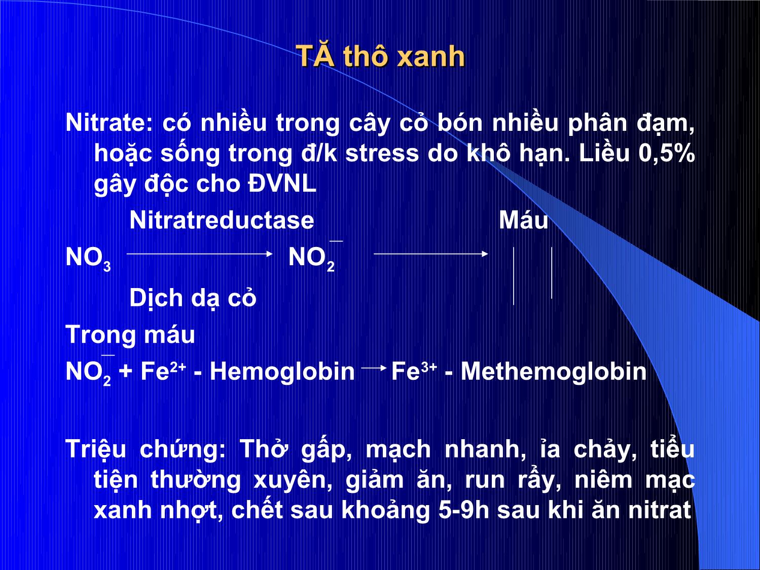 Bài giảng Thức ăn chăn nuôi - Chương 4: Thức ăn thô trang 9