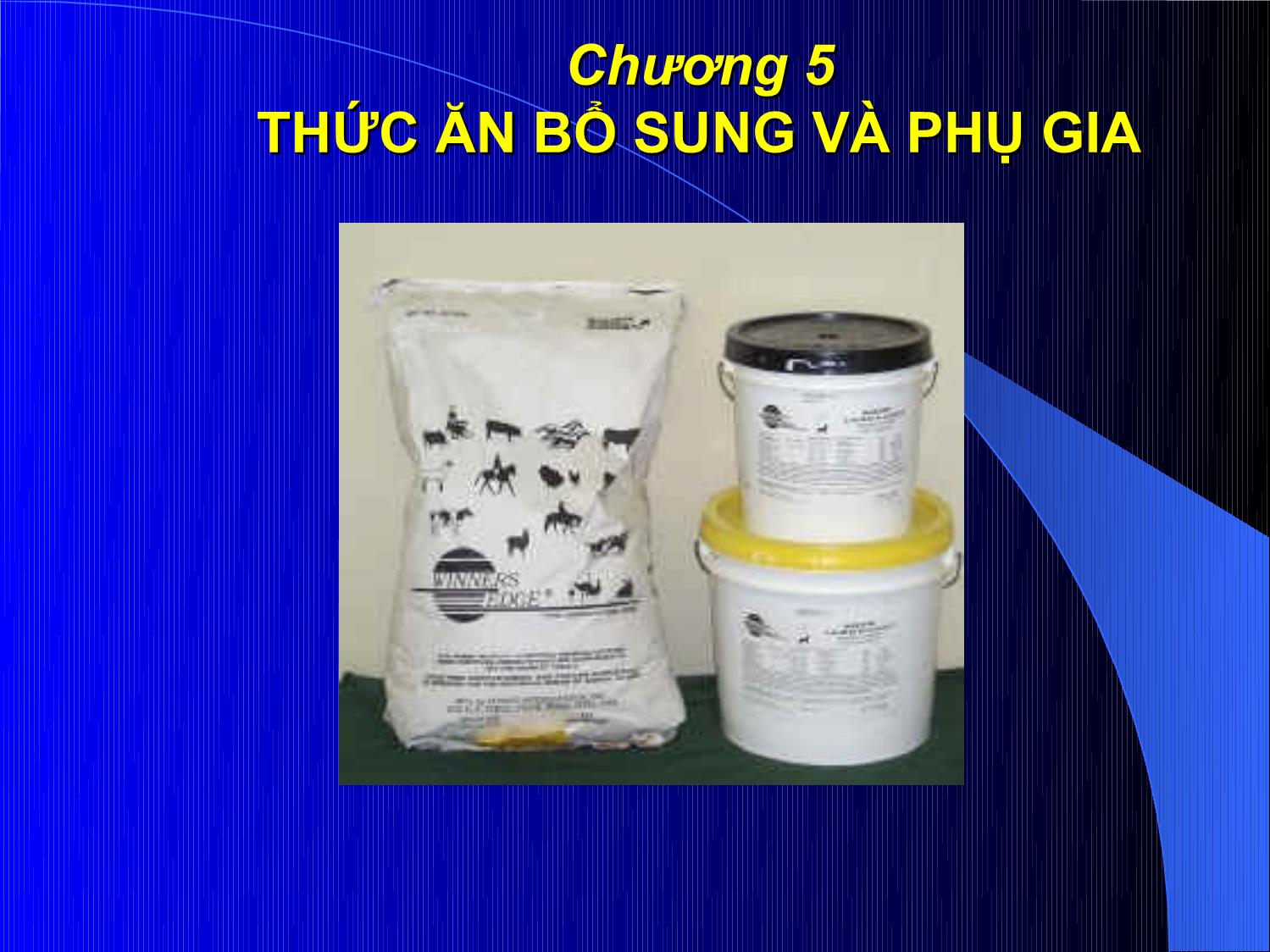 Bài giảng Thức ăn chăn nuôi - Chương 5: Thức ăn bổ sung và phụ gia trang 1