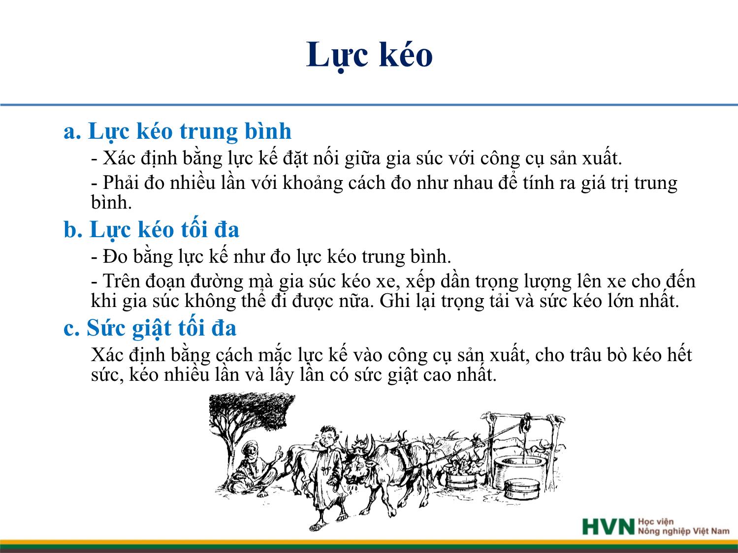 Bài giảng Chăn nuôi trâu bò - Chương 9: Chăn nuôi trâu bò cày kéo trang 10