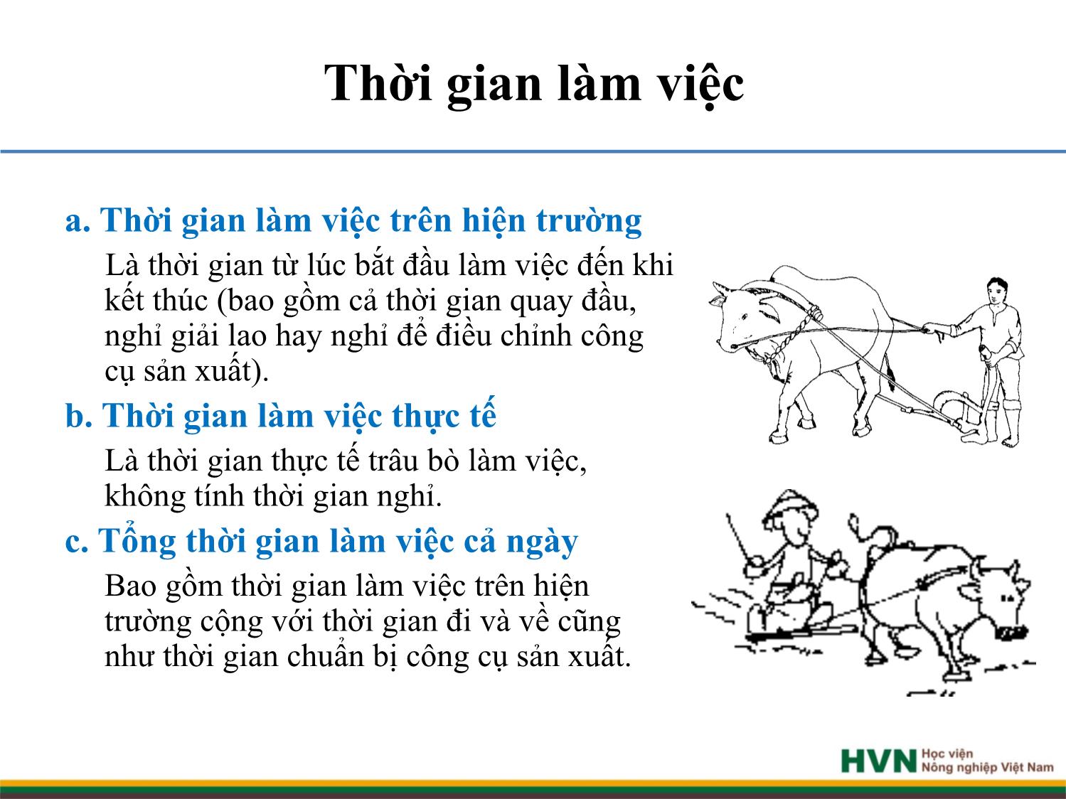 Bài giảng Chăn nuôi trâu bò - Chương 9: Chăn nuôi trâu bò cày kéo trang 9