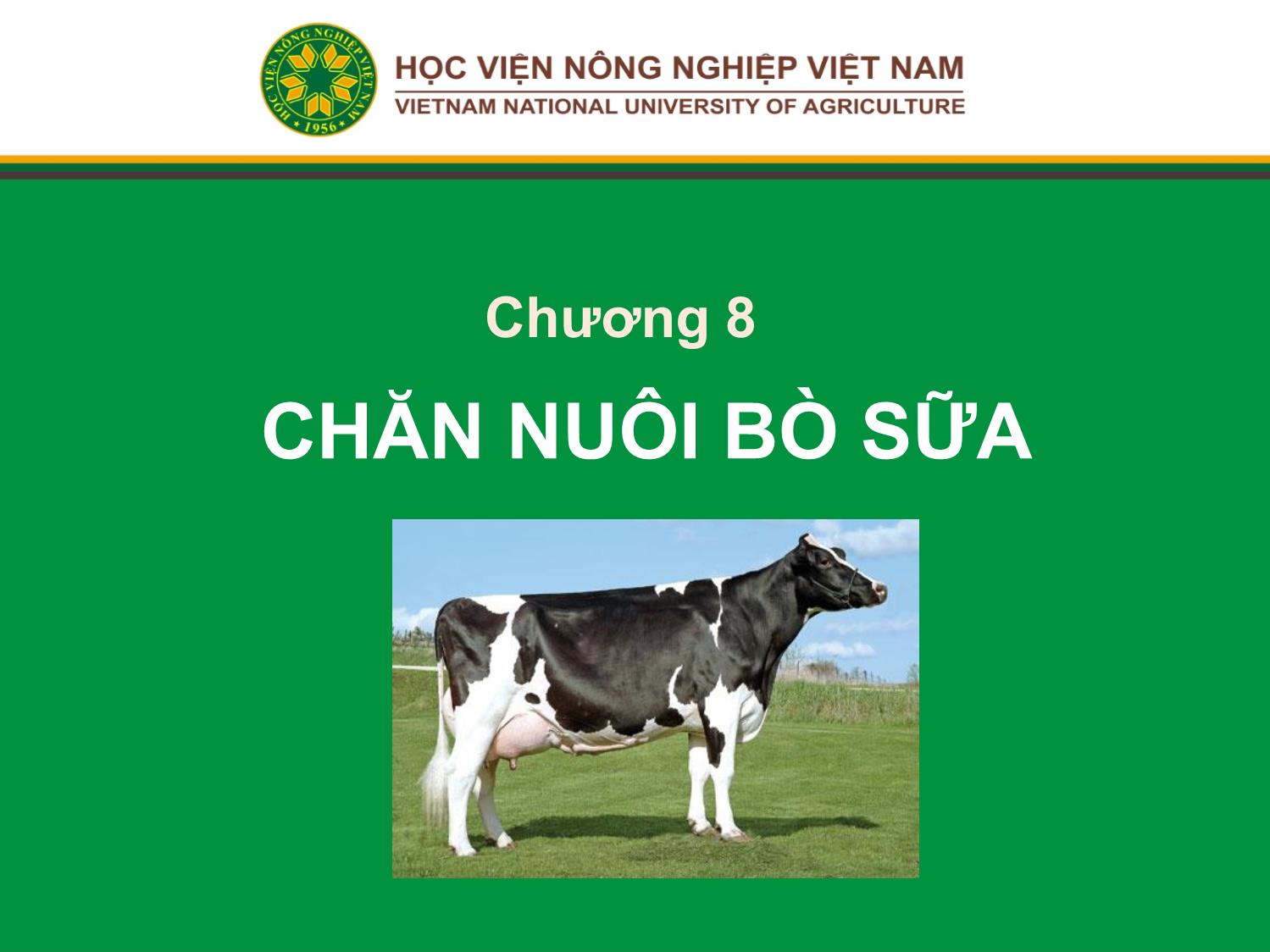 Bài giảng Chăn nuôi trâu bò - Chương 8: Chăn nuôi bò sữa trang 1