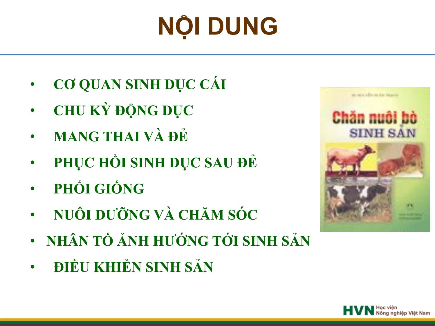 Bài giảng Chăn nuôi trâu bò - Chương 4: Chăn nuôi trâu bò cái sinh sản trang 2