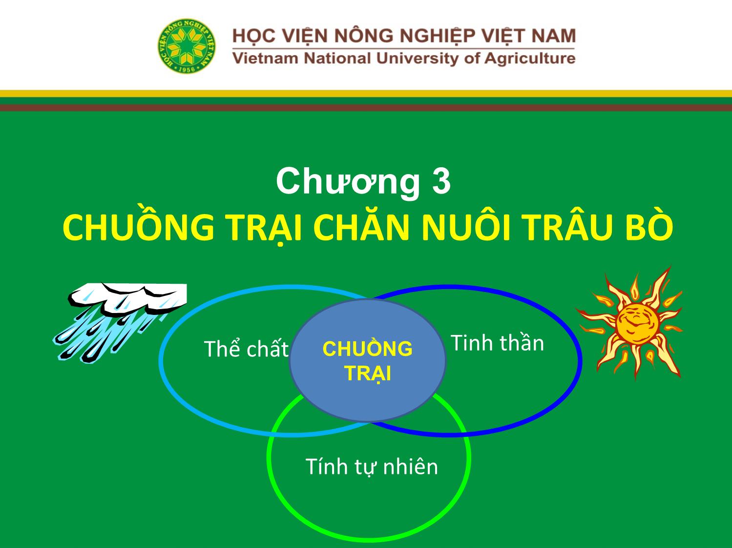 Bài giảng Chăn nuôi trâu bò - Chương 3: Chuồng trại chăn nuôi trâu bò trang 1