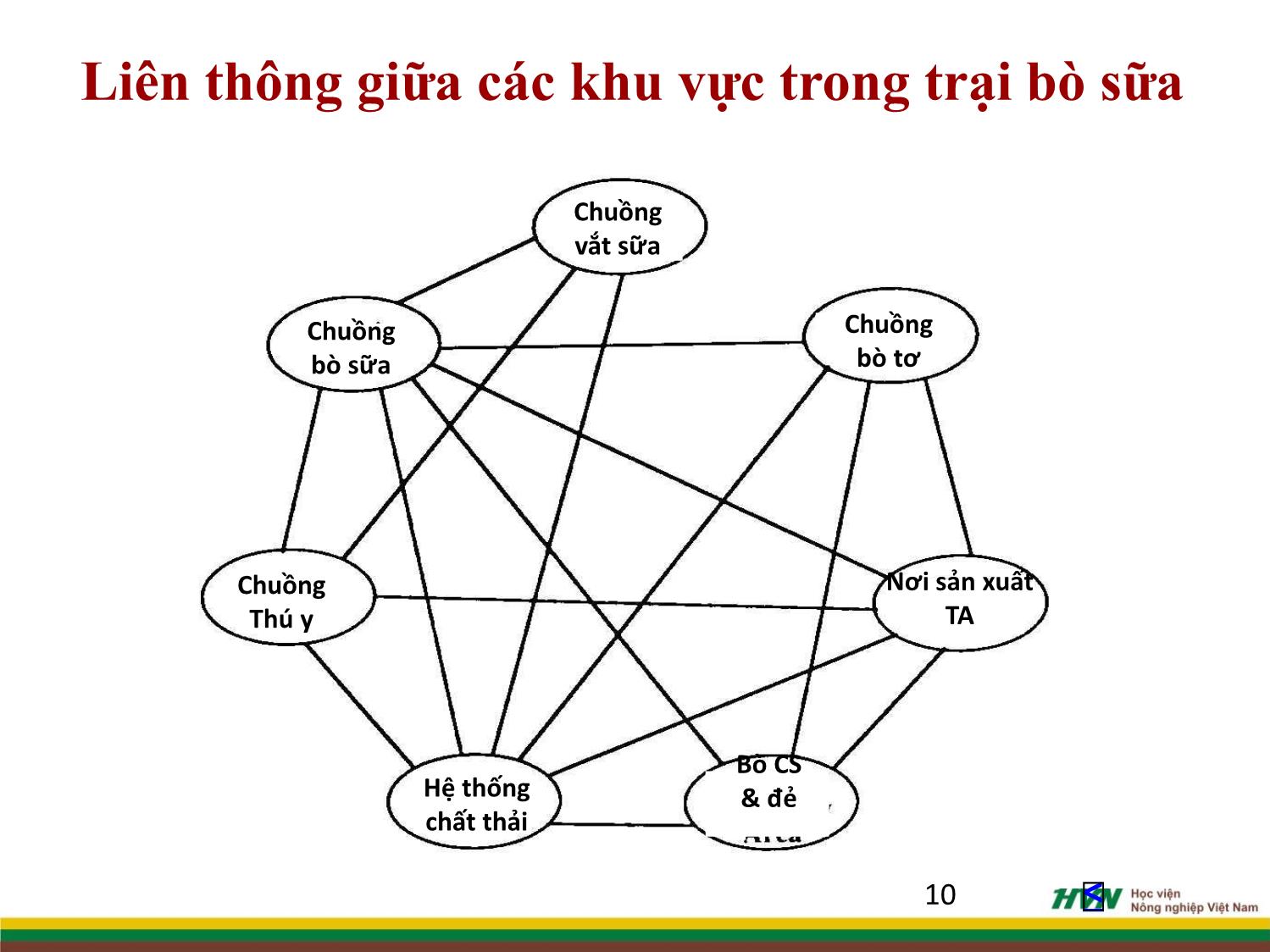 Bài giảng Chăn nuôi trâu bò - Chương 3: Chuồng trại chăn nuôi trâu bò trang 8