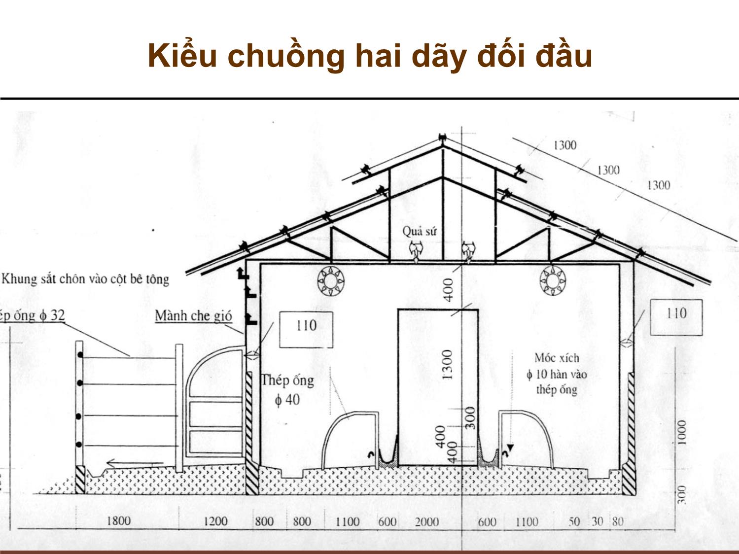 Bài giảng Chăn nuôi trâu bò - Chương 3: Chuồng trại chăn nuôi trâu bò trang 9