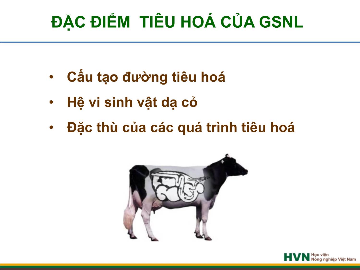 Bài giảng Chăn nuôi trâu bò - Chương 2, Tiết 1: Dinh dưỡng và thức ăn trang 3