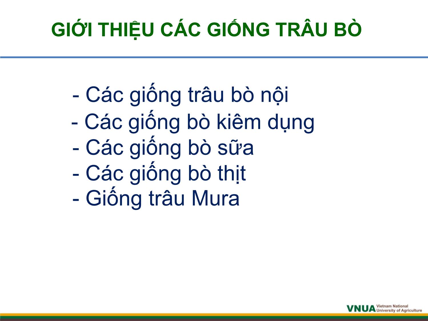 Bài giảng môn Chăn nuôi trâu bò - Chương 1: Giống và công tác giống trâu bò trang 3