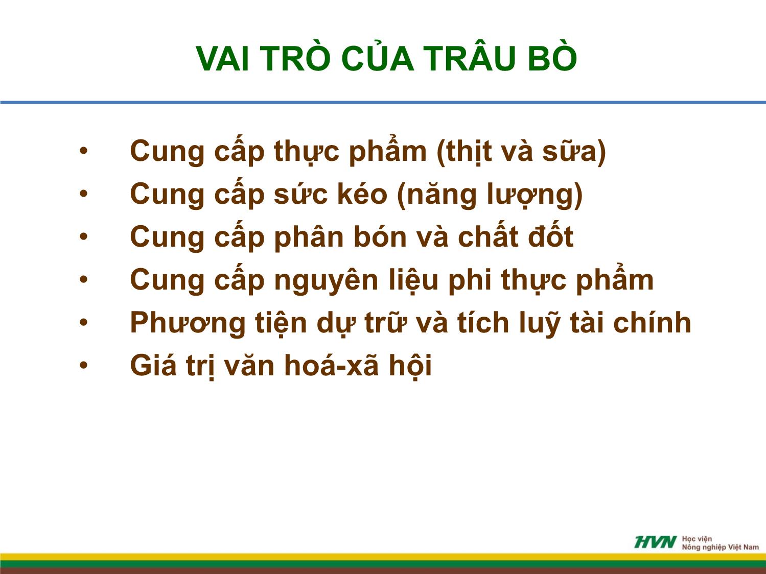 Bài giảng Chăn nuôi trâu bò - Bài mở đầu chăn nuôi trâu bò trang 3