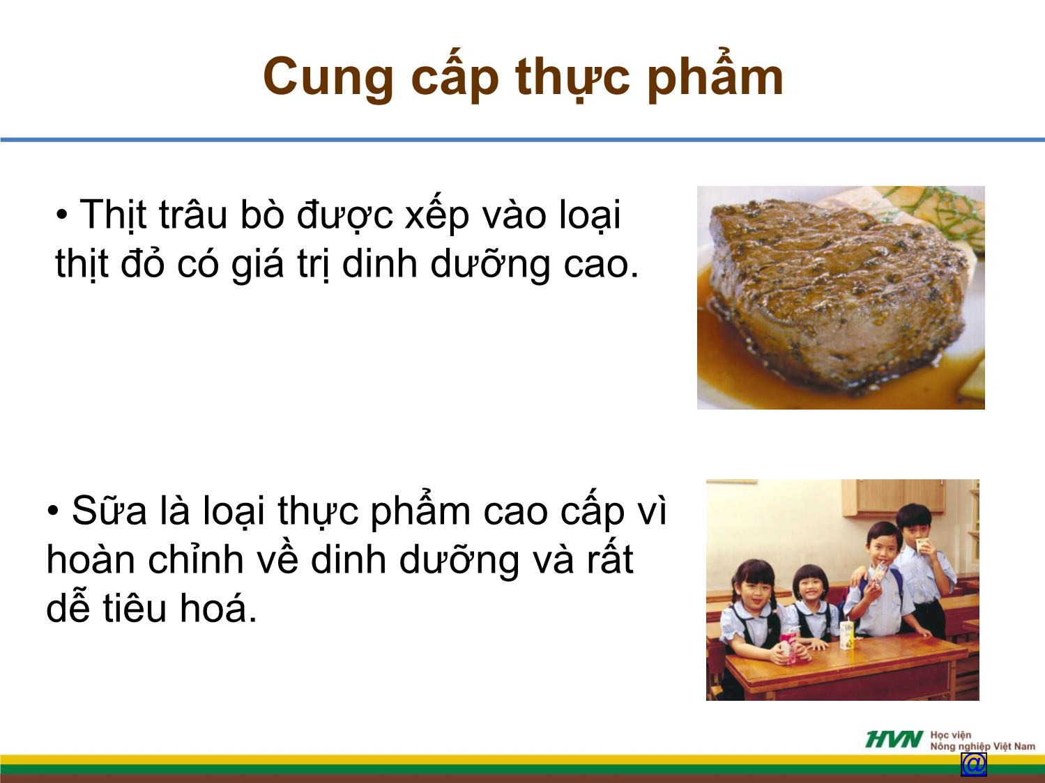 Bài giảng Chăn nuôi trâu bò - Bài mở đầu chăn nuôi trâu bò trang 4