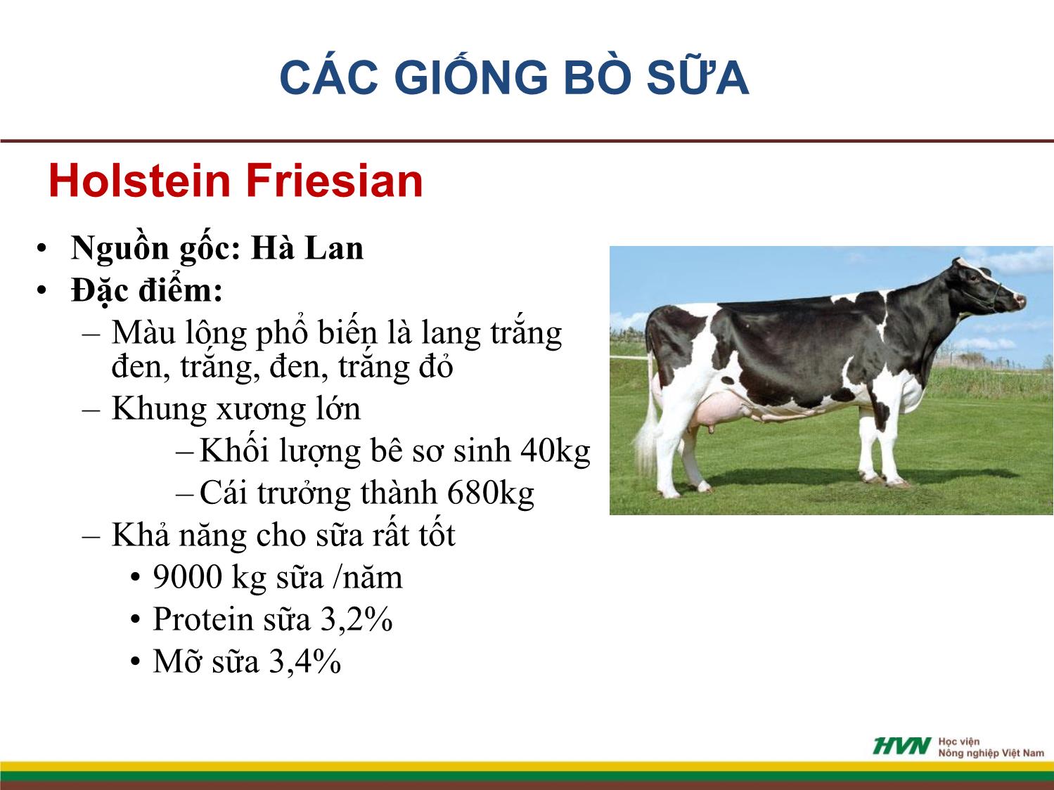 Bài giảng Nhập môn chăn nuôi - Chương 9: Chăn nuôi gia súc nhai lại trang 9