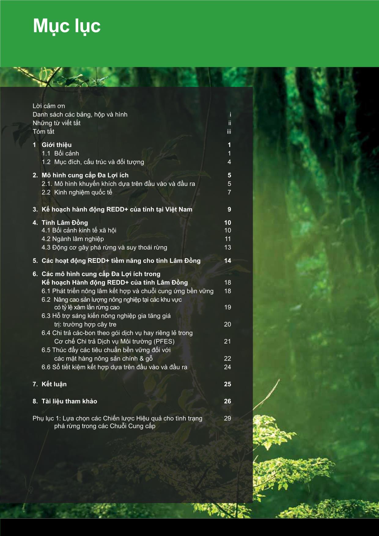 Mô hình khuyến khích đa lợi ích: Các lựa chọn cho Kế hoạch Hành động REDD+ của tỉnh Lâm Đồng trang 3
