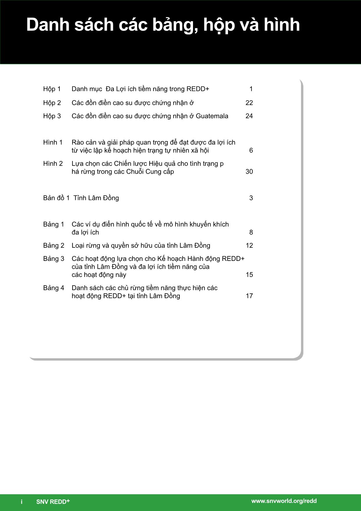 Mô hình khuyến khích đa lợi ích: Các lựa chọn cho Kế hoạch Hành động REDD+ của tỉnh Lâm Đồng trang 4
