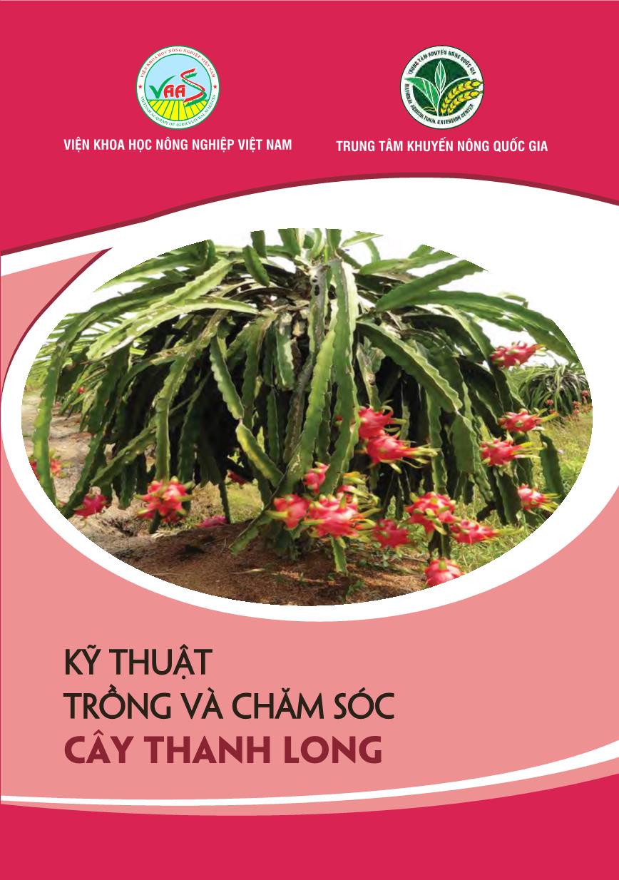 Kỹ thuật trồng và chăm sóc cây thanh long trang 1