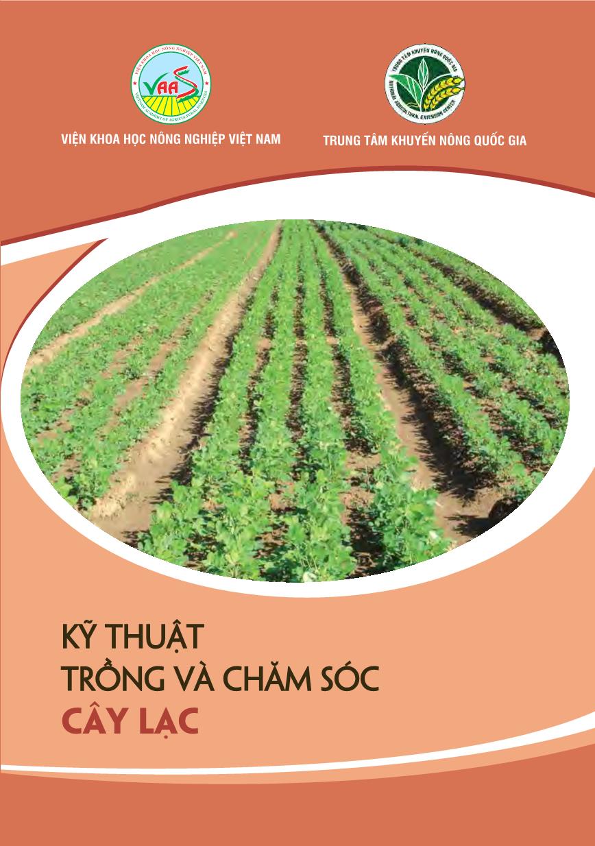 Kỹ thuật trồng và chăm sóc cây lạc trang 1