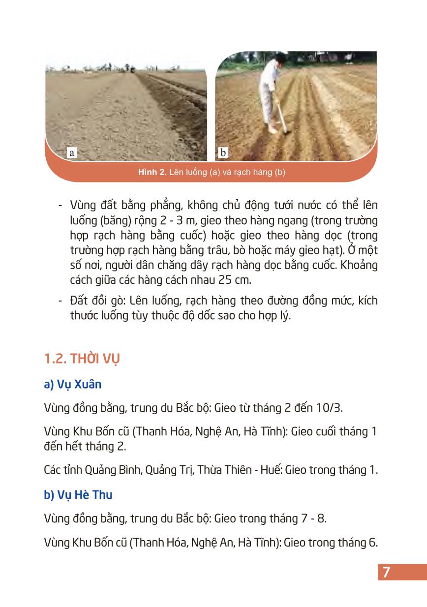 Kỹ thuật trồng và chăm sóc cây lạc trang 9