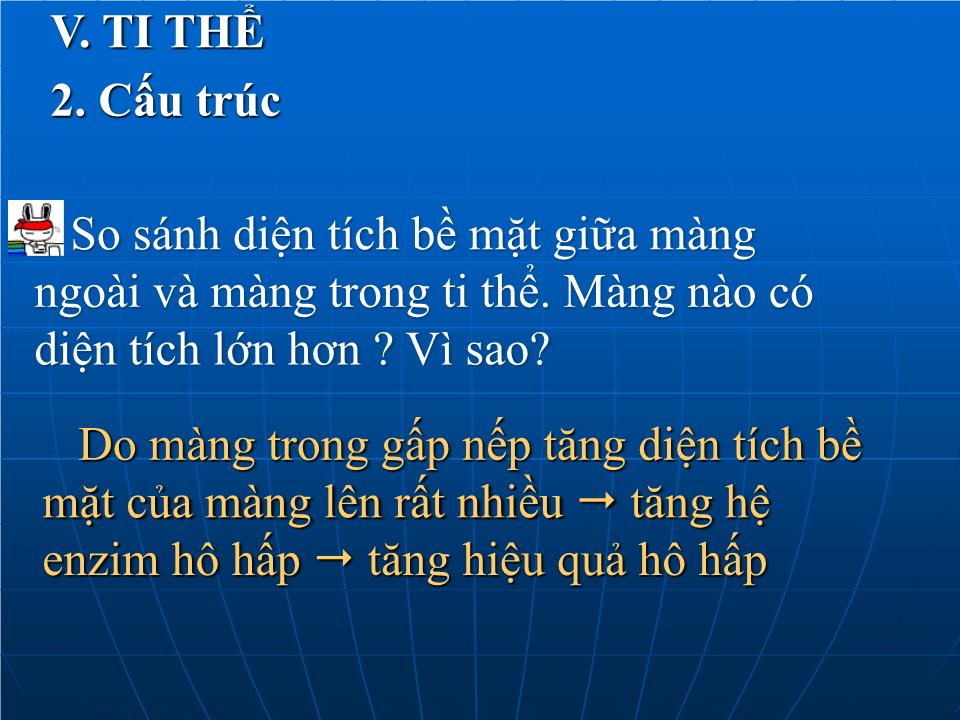 Bài giảng Sinh học Lớp 10 - Bài 15: Tế bào nhân thực (Tiếp theo) trang 10