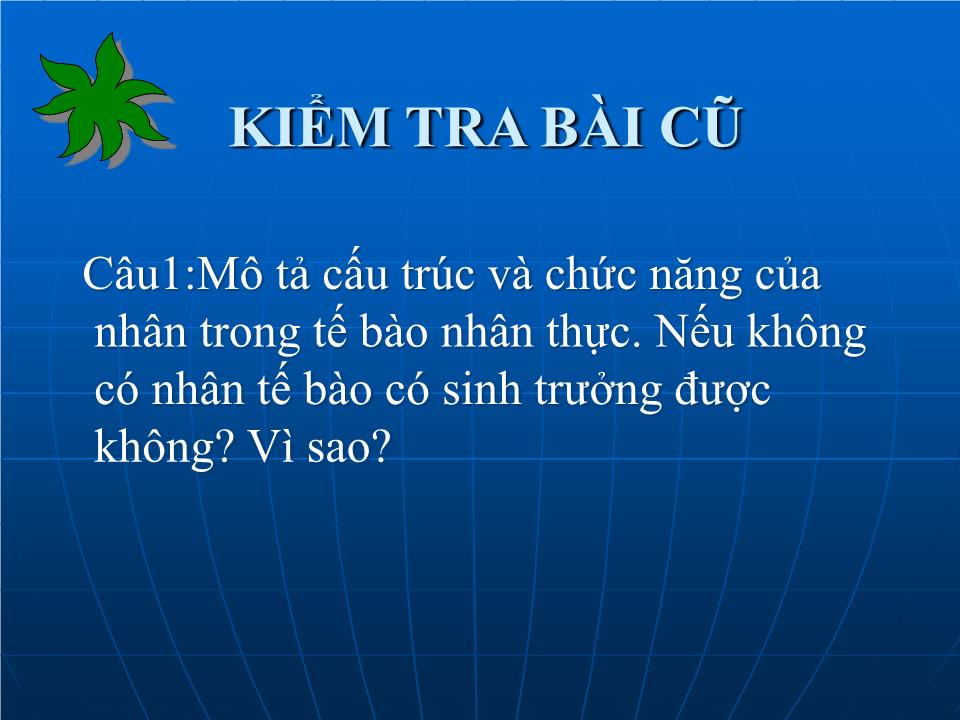 Bài giảng Sinh học Lớp 10 - Bài 15: Tế bào nhân thực (Tiếp theo) trang 2