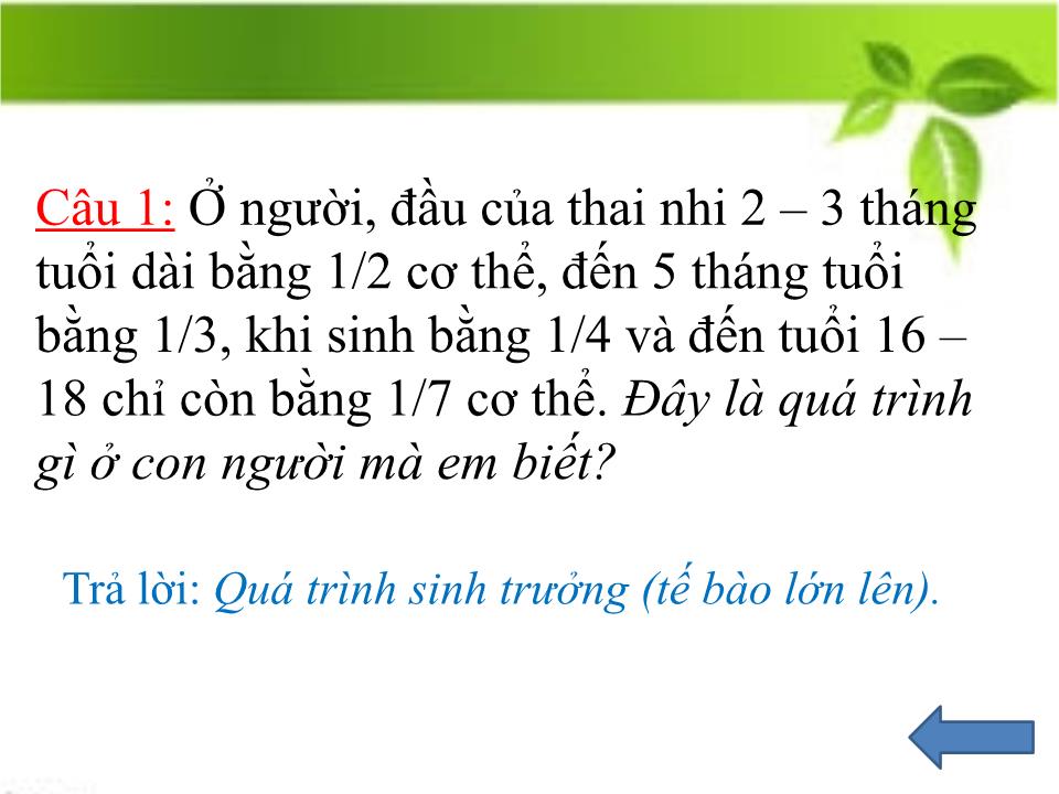 Bài giảng Sinh học Lớp 11 - Bài 37: Sinh trưởng và phát triển ở động vật trang 2