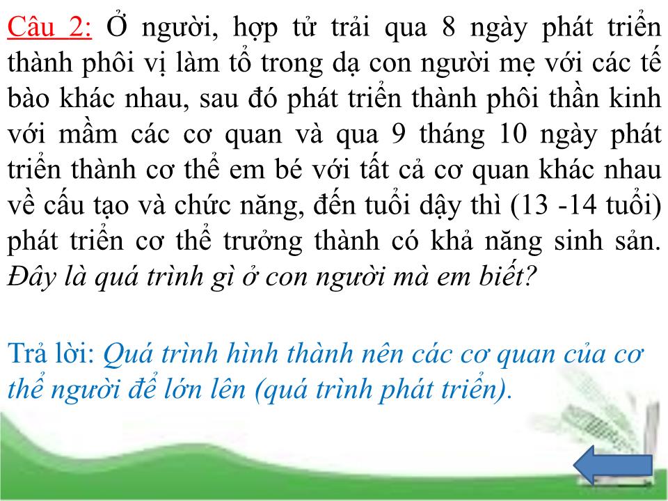 Bài giảng Sinh học Lớp 11 - Bài 37: Sinh trưởng và phát triển ở động vật trang 3