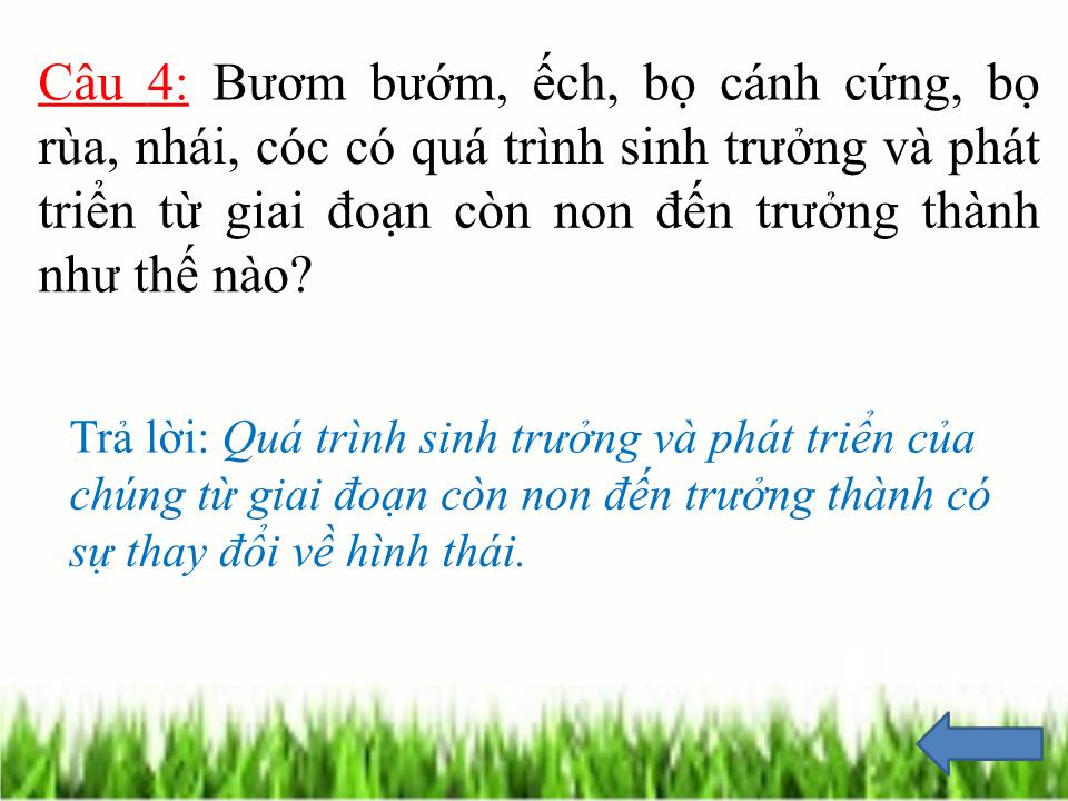 Bài giảng Sinh học Lớp 11 - Bài 37: Sinh trưởng và phát triển ở động vật trang 5