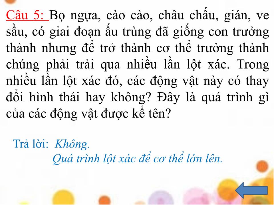 Bài giảng Sinh học Lớp 11 - Bài 37: Sinh trưởng và phát triển ở động vật trang 6