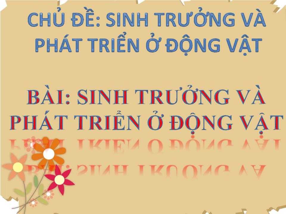 Bài giảng Sinh học Lớp 11 - Bài 37: Sinh trưởng và phát triển ở động vật trang 7