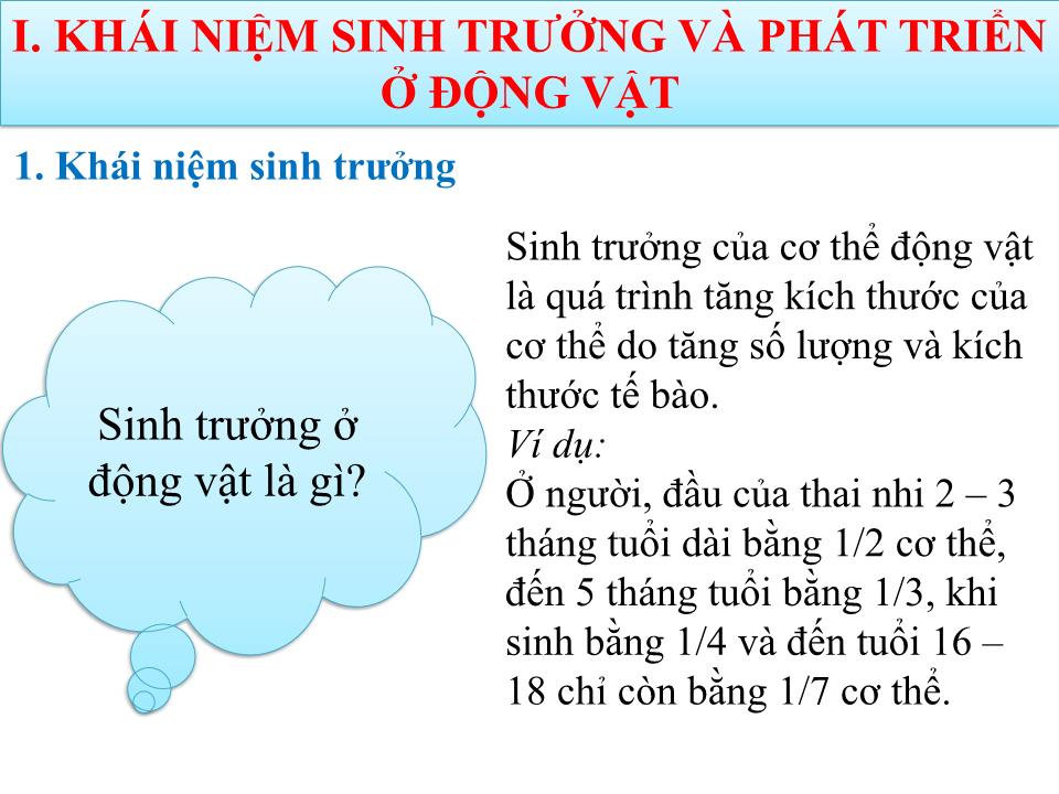 Bài giảng Sinh học Lớp 11 - Bài 37: Sinh trưởng và phát triển ở động vật trang 8