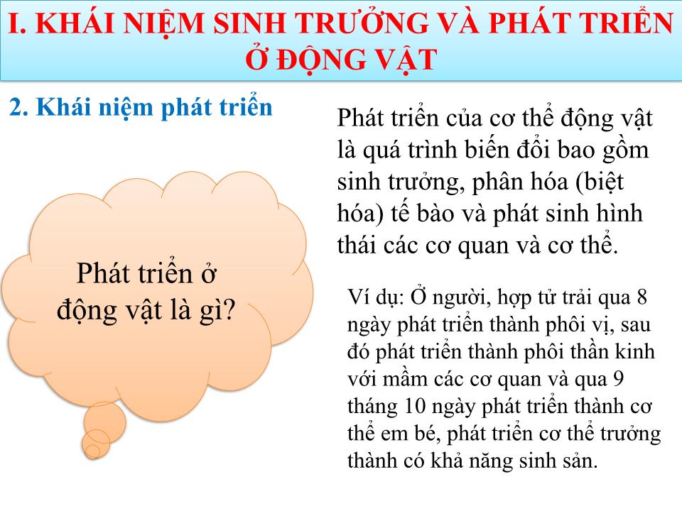 Bài giảng Sinh học Lớp 11 - Bài 37: Sinh trưởng và phát triển ở động vật trang 9