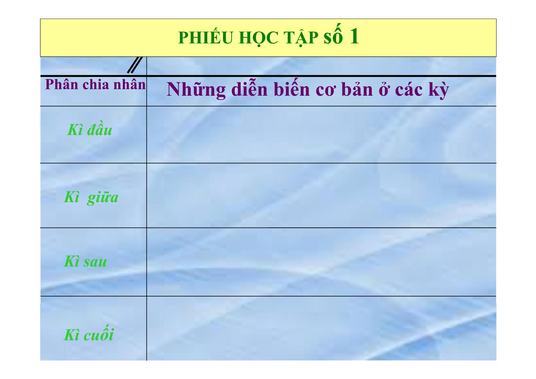 Bài giảng Sinh học Lớp 9 - Bài 9: Nguyên phân trang 6