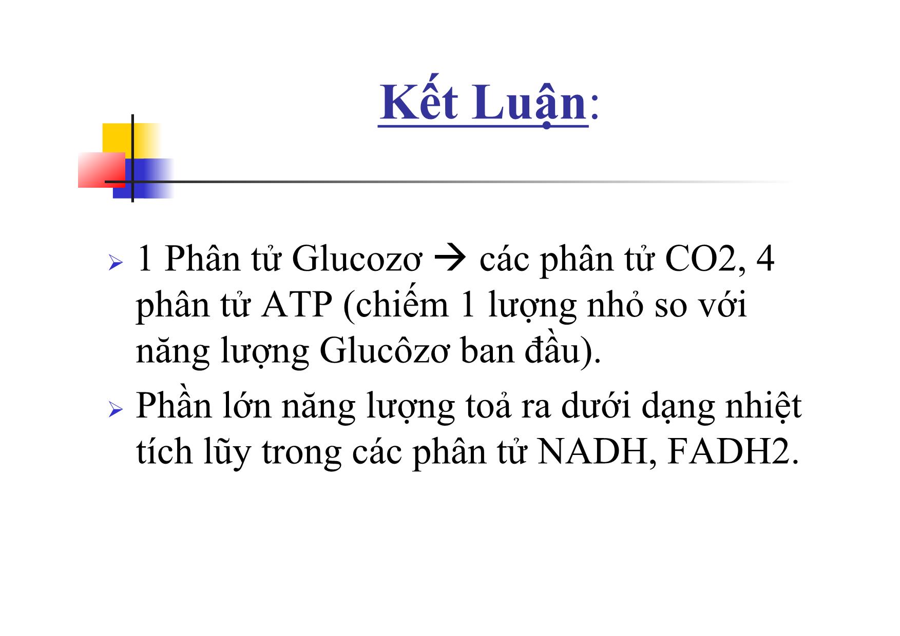 Bài giảng Sinh học Lớp 10 - Bài 16: Hô hấp tế bào trang 10