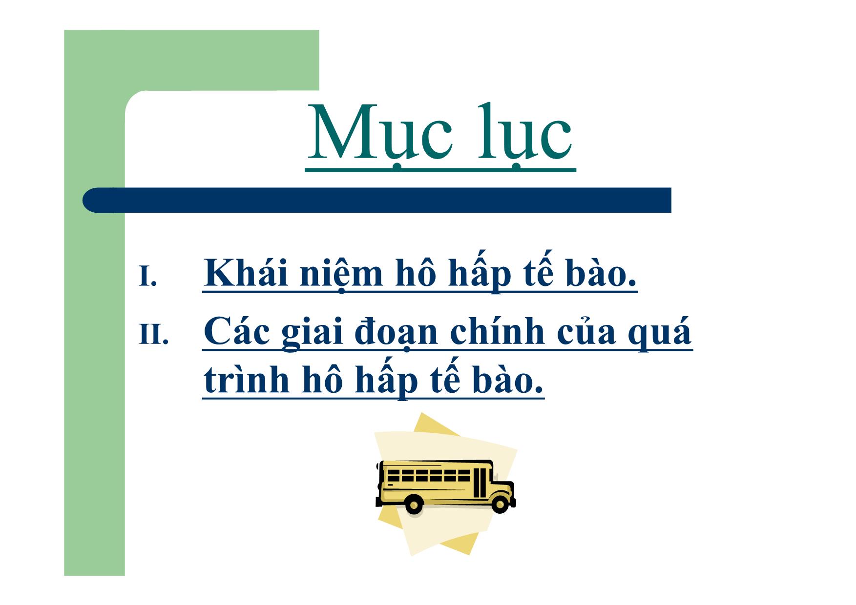 Bài giảng Sinh học Lớp 10 - Bài 16: Hô hấp tế bào trang 2