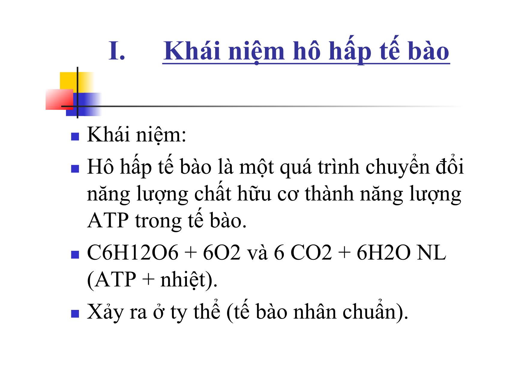 Bài giảng Sinh học Lớp 10 - Bài 16: Hô hấp tế bào trang 3