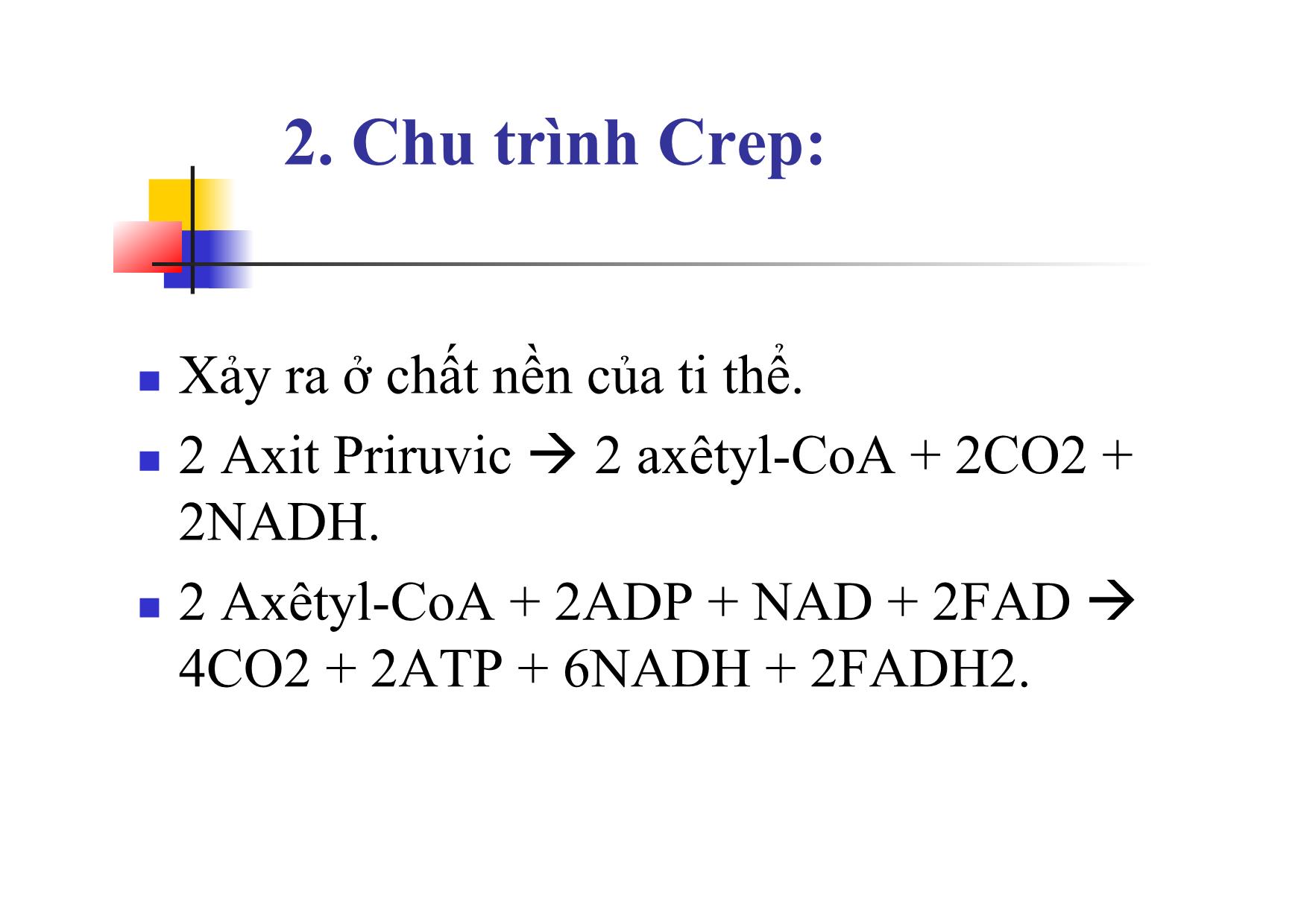 Bài giảng Sinh học Lớp 10 - Bài 16: Hô hấp tế bào trang 8