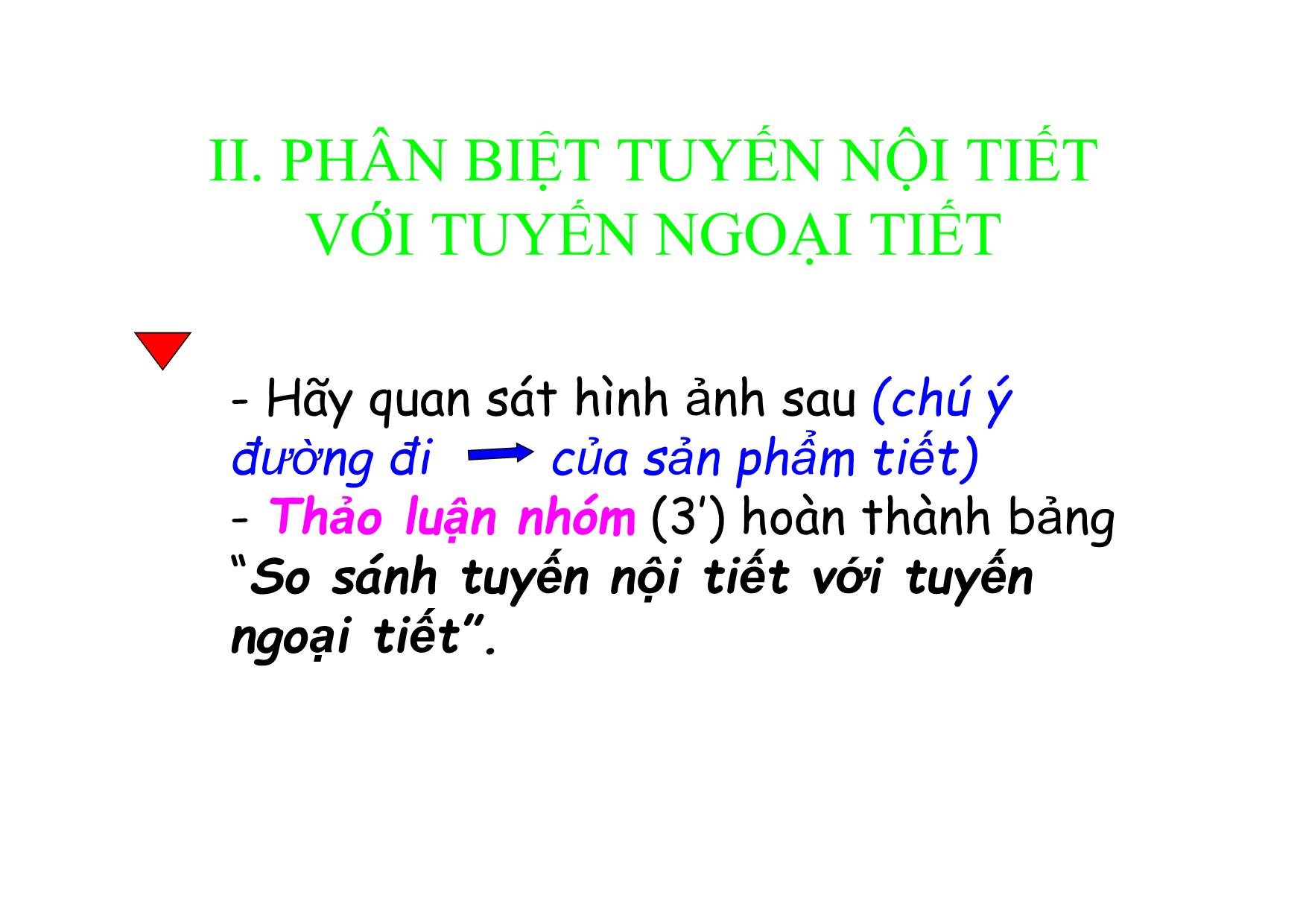 Bài giảng Sinh học Lớp 8 - Bài 55: Giới thiệu chung hệ nội tiết trang 4