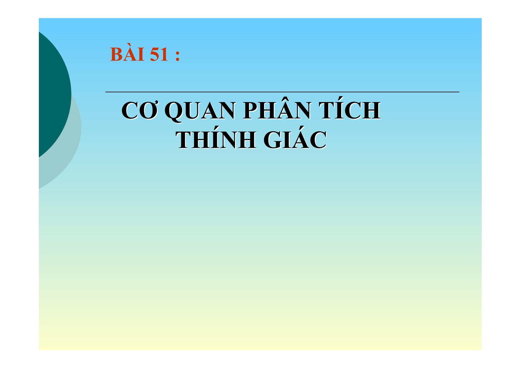 Bài giảng Sinh học Lớp 8 - Bài 51: Cơ quan phân tích thính giác trang 3