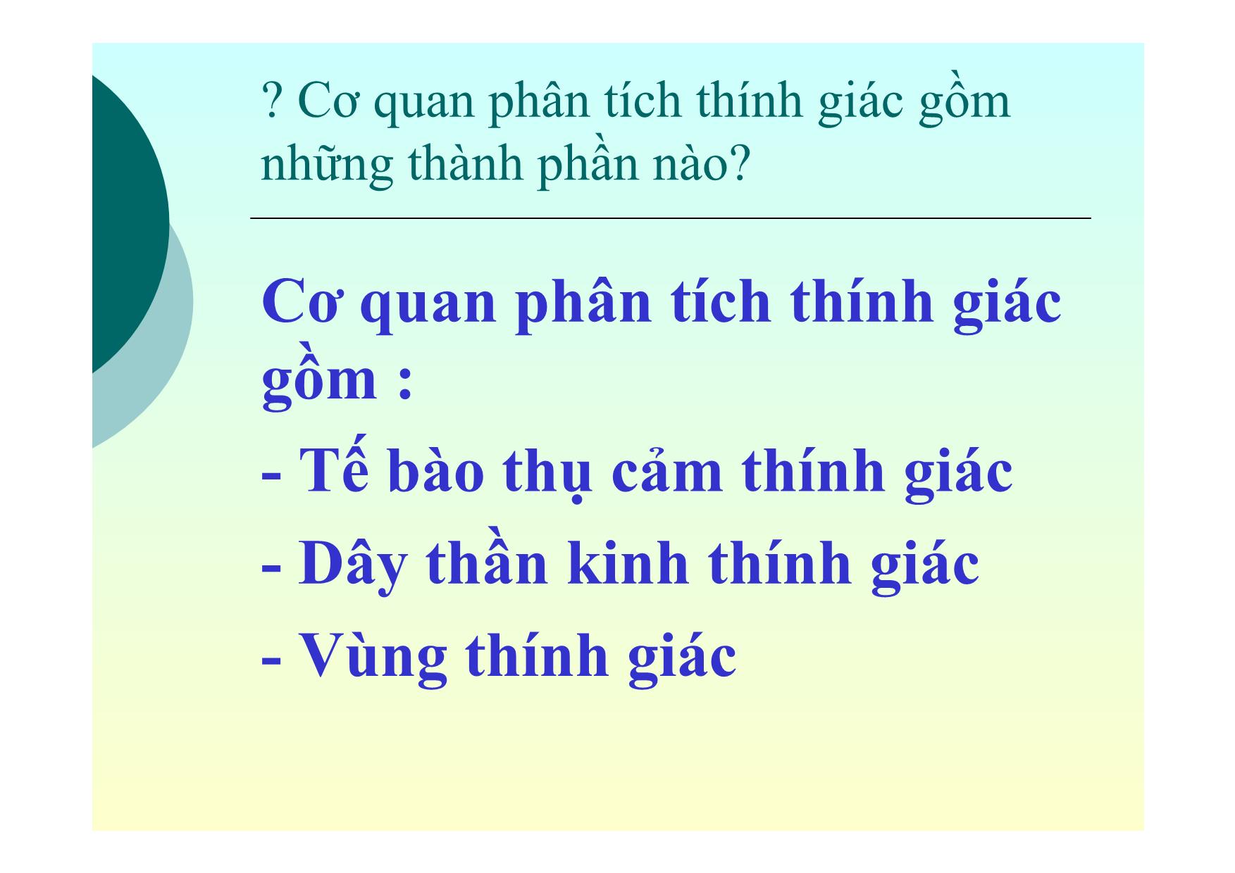 Bài giảng Sinh học Lớp 8 - Bài 51: Cơ quan phân tích thính giác trang 4