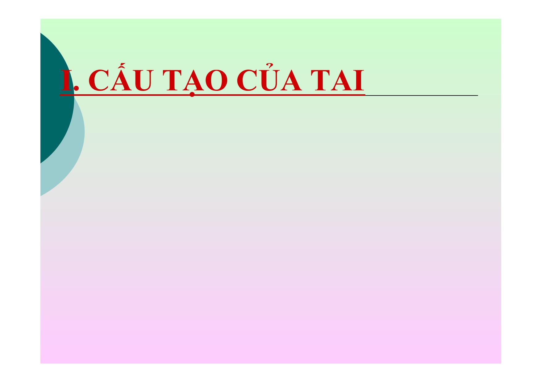 Bài giảng Sinh học Lớp 8 - Bài 51: Cơ quan phân tích thính giác trang 5