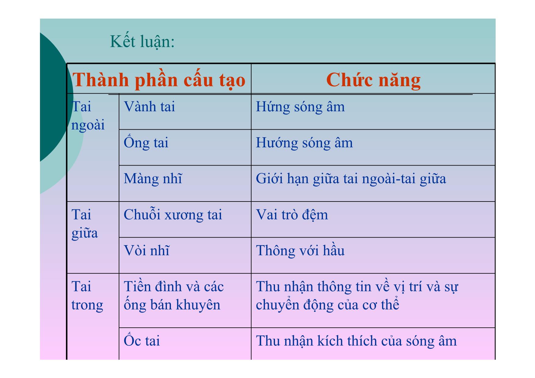 Bài giảng Sinh học Lớp 8 - Bài 51: Cơ quan phân tích thính giác trang 8