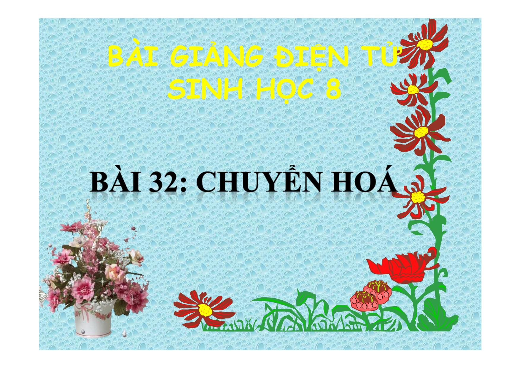 Bài giảng Sinh học Lớp 8 - Bài 32: Chuyển hoá trang 1