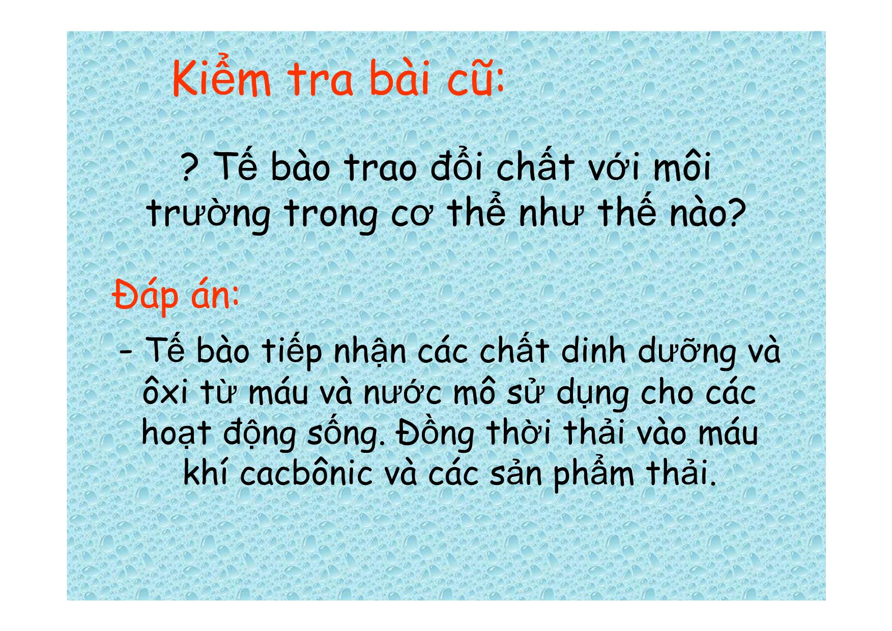 Bài giảng Sinh học Lớp 8 - Bài 32: Chuyển hoá trang 2