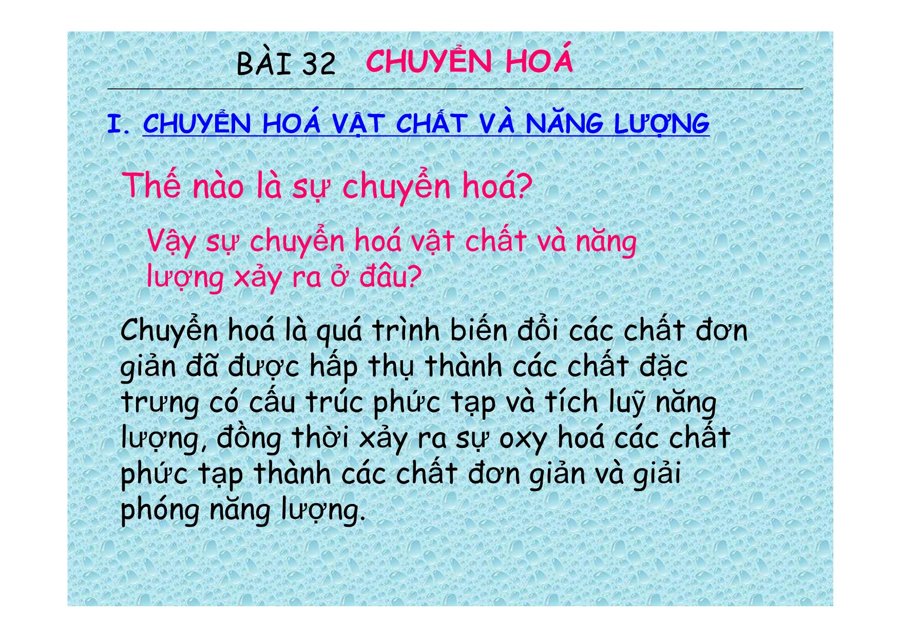 Bài giảng Sinh học Lớp 8 - Bài 32: Chuyển hoá trang 3