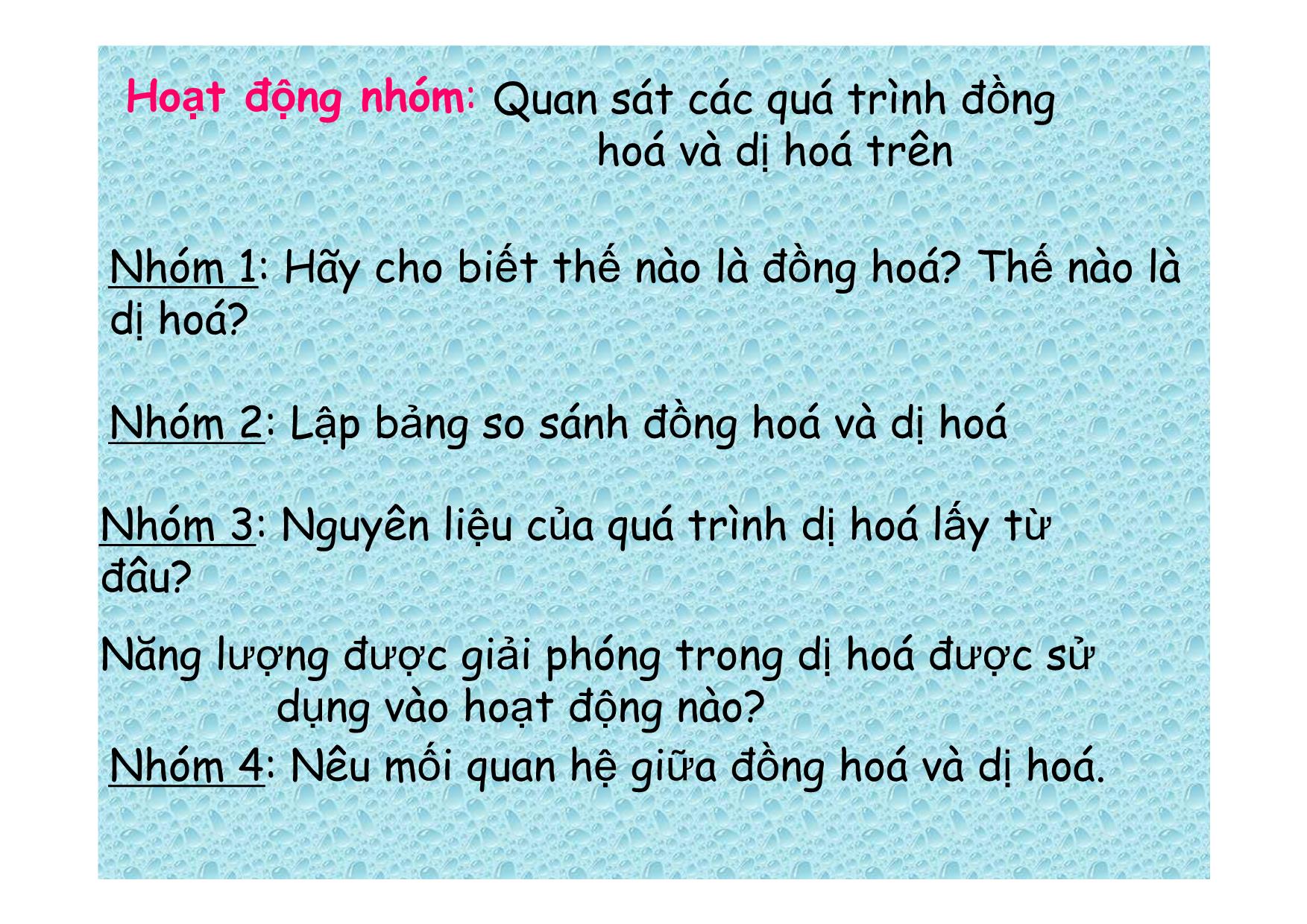 Bài giảng Sinh học Lớp 8 - Bài 32: Chuyển hoá trang 7