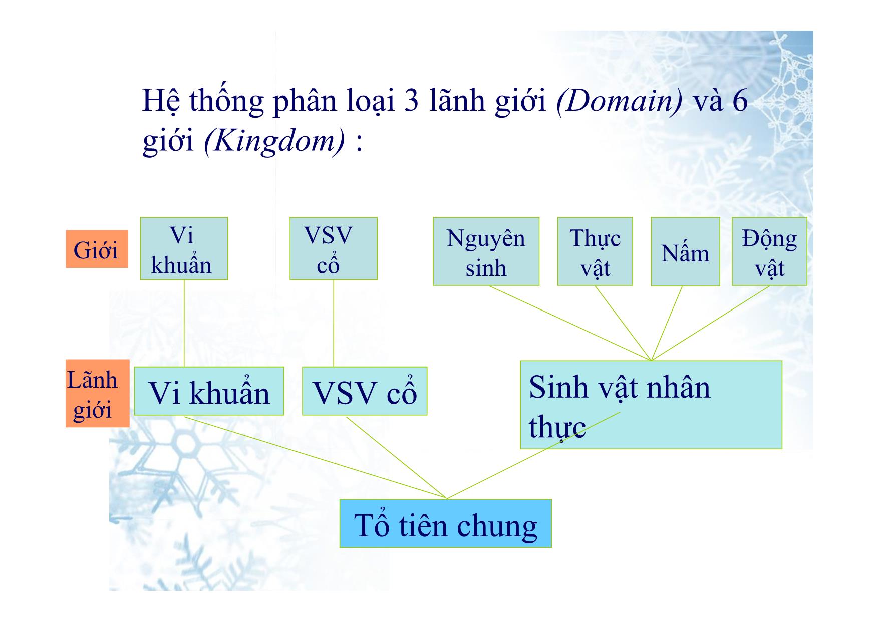 Bài giảng Sinh học Lớp 10 - Bài 2: Các giới sinh vật trang 10