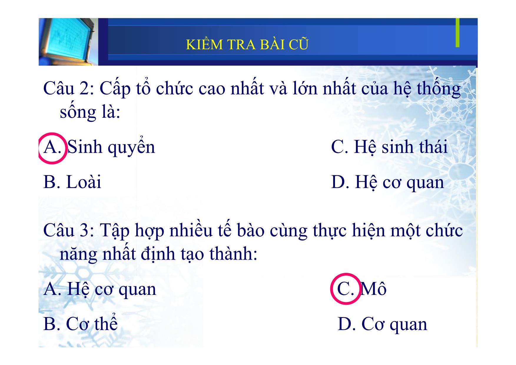 Bài giảng Sinh học Lớp 10 - Bài 2: Các giới sinh vật trang 3