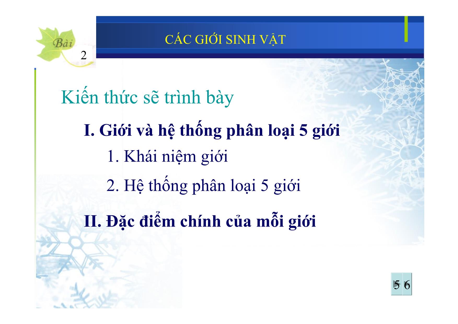 Bài giảng Sinh học Lớp 10 - Bài 2: Các giới sinh vật trang 4