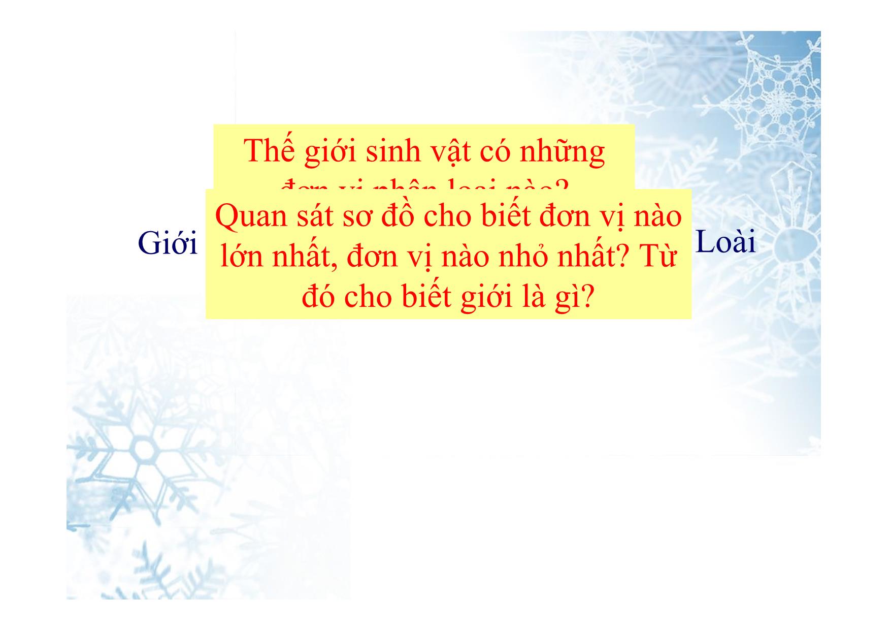 Bài giảng Sinh học Lớp 10 - Bài 2: Các giới sinh vật trang 7