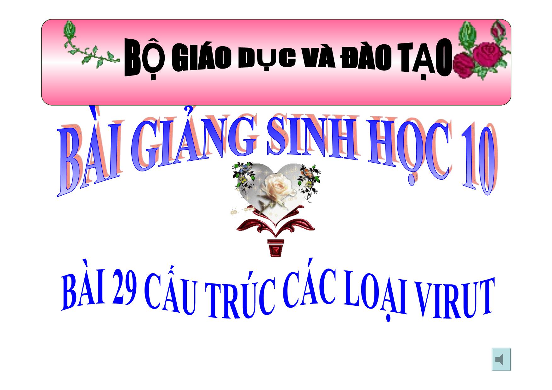 Bài giảng Sinh học Lớp 10 - Bài 29: Cấu trúc các loại virut trang 1