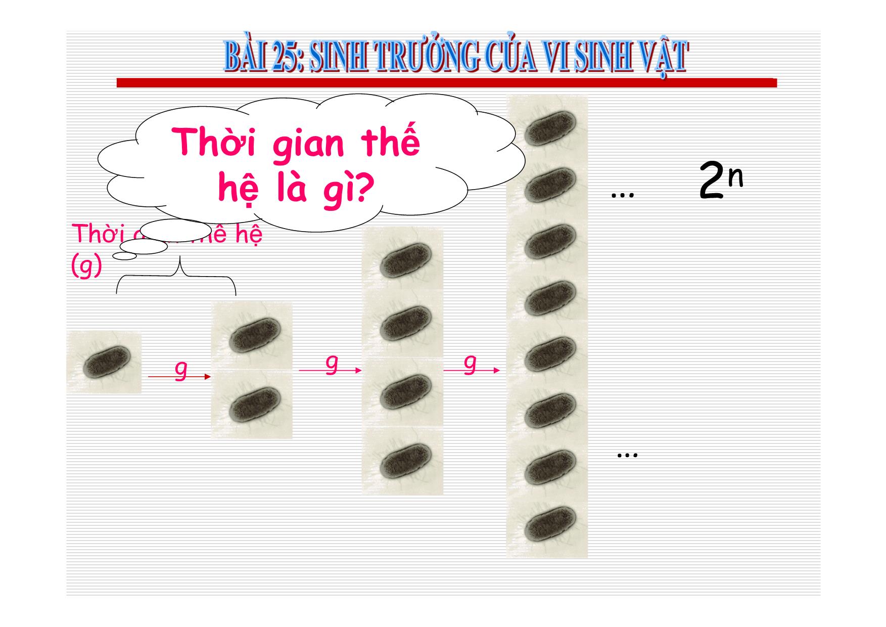 Bài giảng Sinh học Lớp 10 - Bài 25: Sinh trưởng của vi sinh vật trang 5