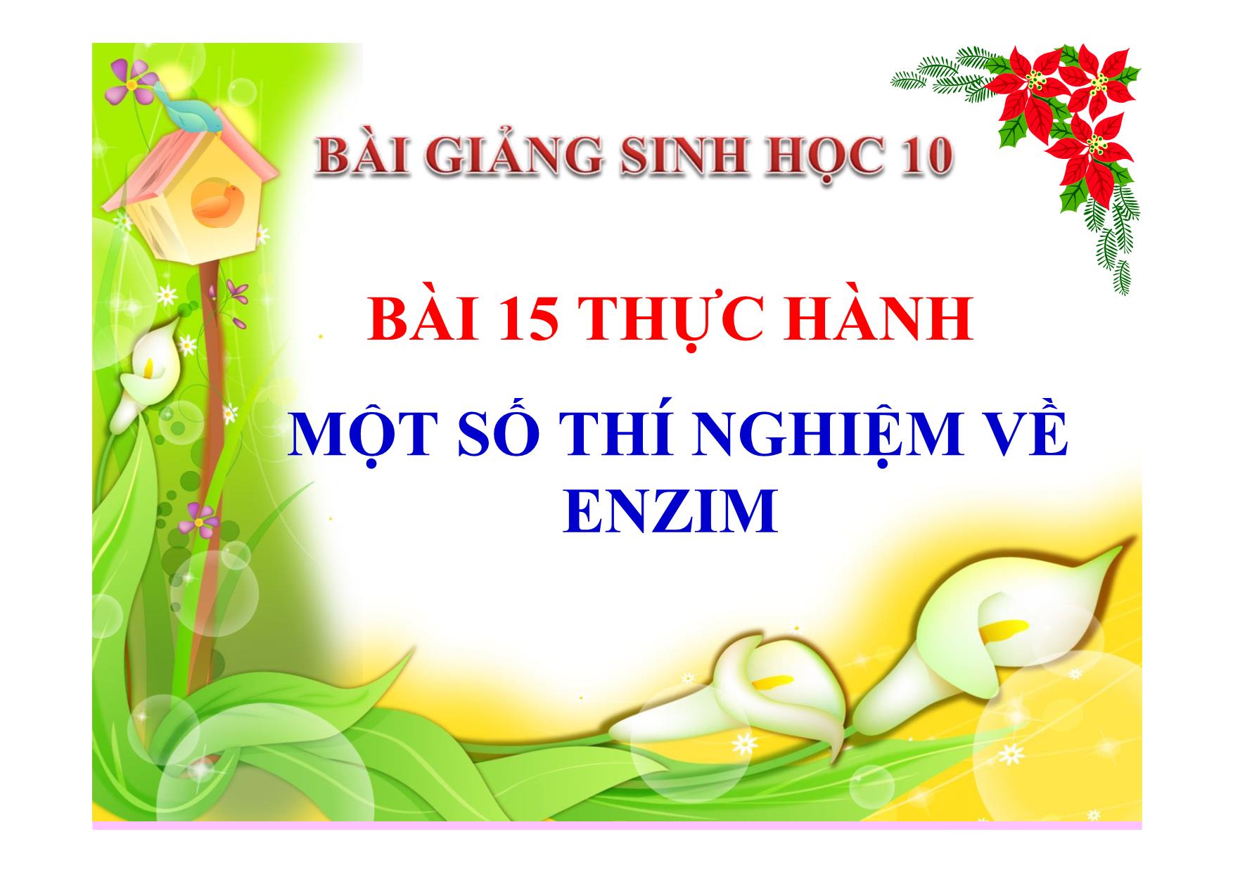 Bài giảng Sinh học Lớp 10 - Bài 15: Thực hành một số thí nghiệm về Enzim trang 1