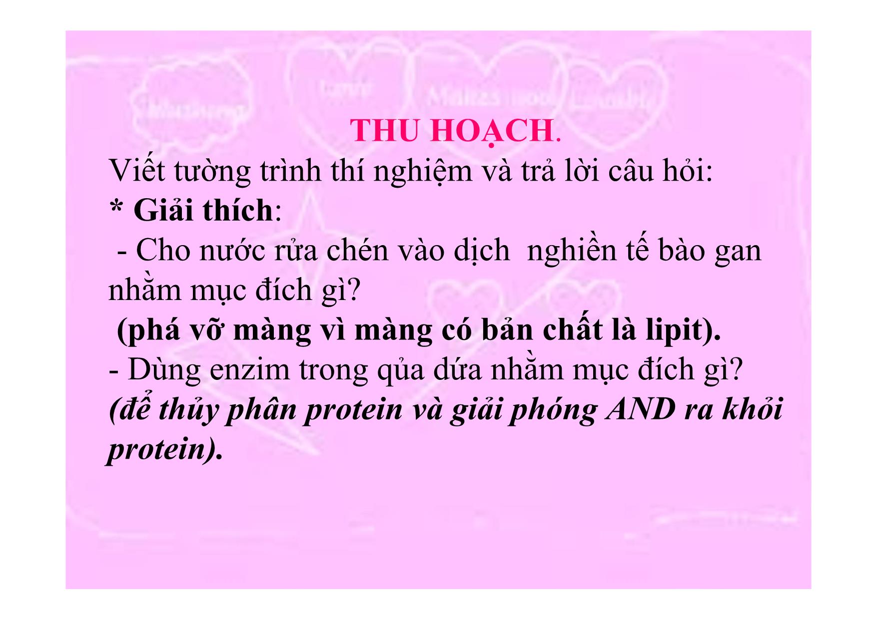 Bài giảng Sinh học Lớp 10 - Bài 15: Thực hành một số thí nghiệm về Enzim trang 9